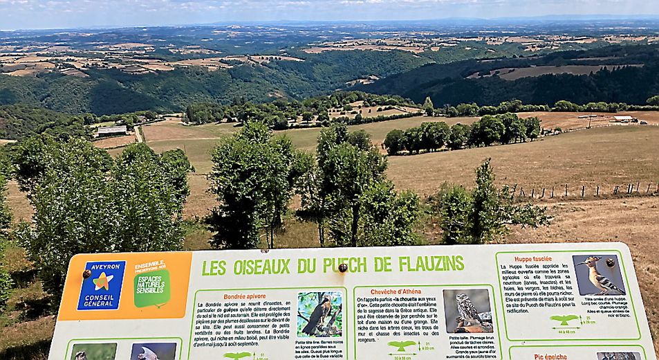 À Lescure-Jaoul, au Puech de Flauzins, une tour ornithologique permet de découvrir des espèces d’oiseaux et leur migration.