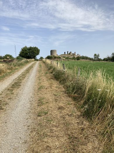 En chemin, vers les ruines du château de Thénières.