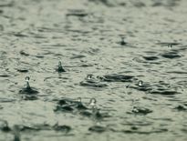 Il est tombé à certains endroits jusqu'à 50 mm de précipitations.