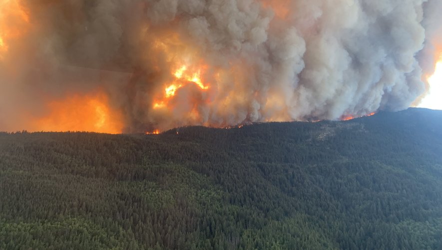 15 millions d'hectares ont été ravagés par les flammes ces derniers mois.