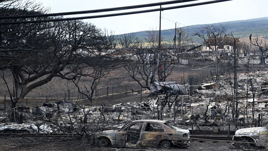 Le changement climatique accroît nettement le risque d'incendie de forêts à propagation rapide.