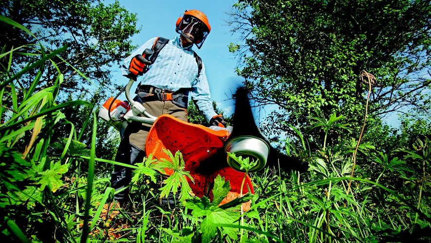 La ville embauche des jardiniers pour entretenir plusieurs centaines hectares d'espaces vert.