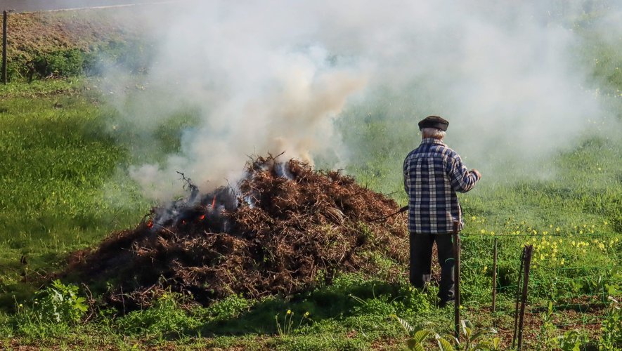 Brûler ses déchets végétaux dans son jardin est interdit depuis 2020.