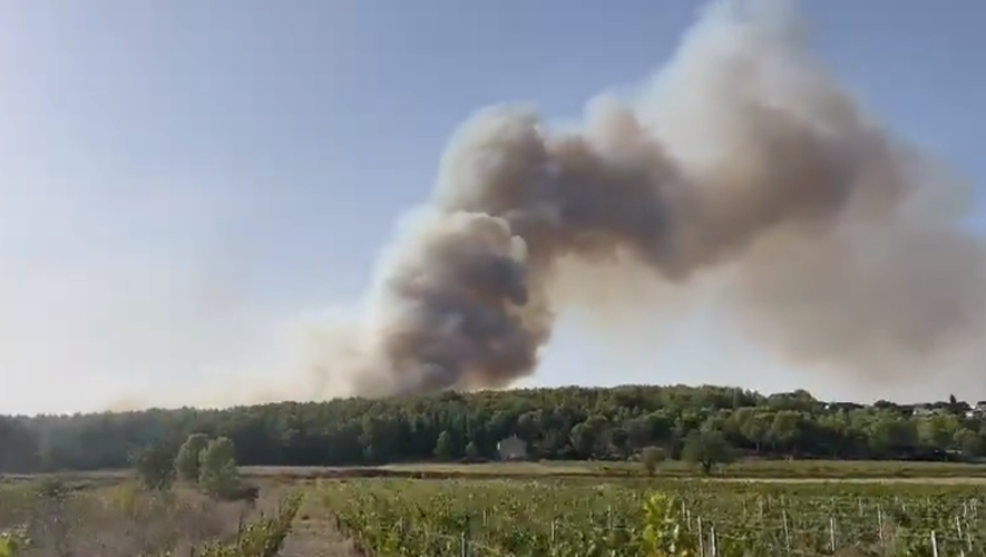 Gros feu de végétation en cours près de Nîmes, dans le Gard.