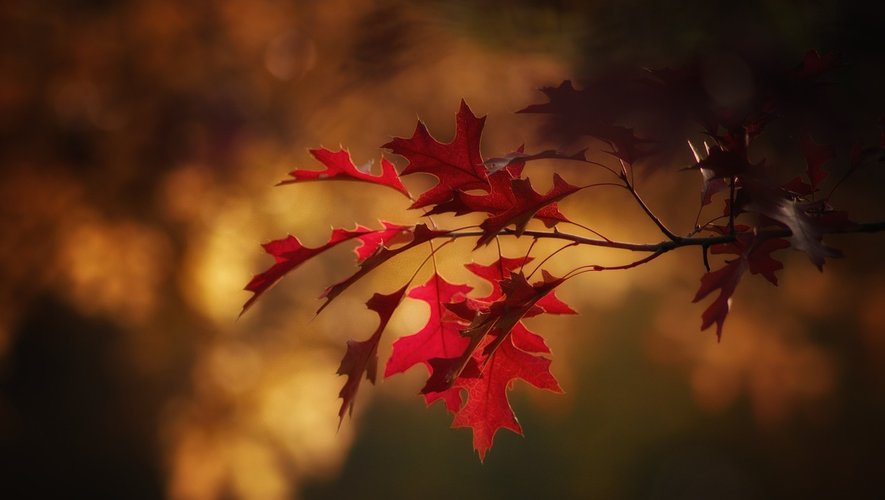 L'automne démarrera le samedi 23 septembre 2023 cette année.