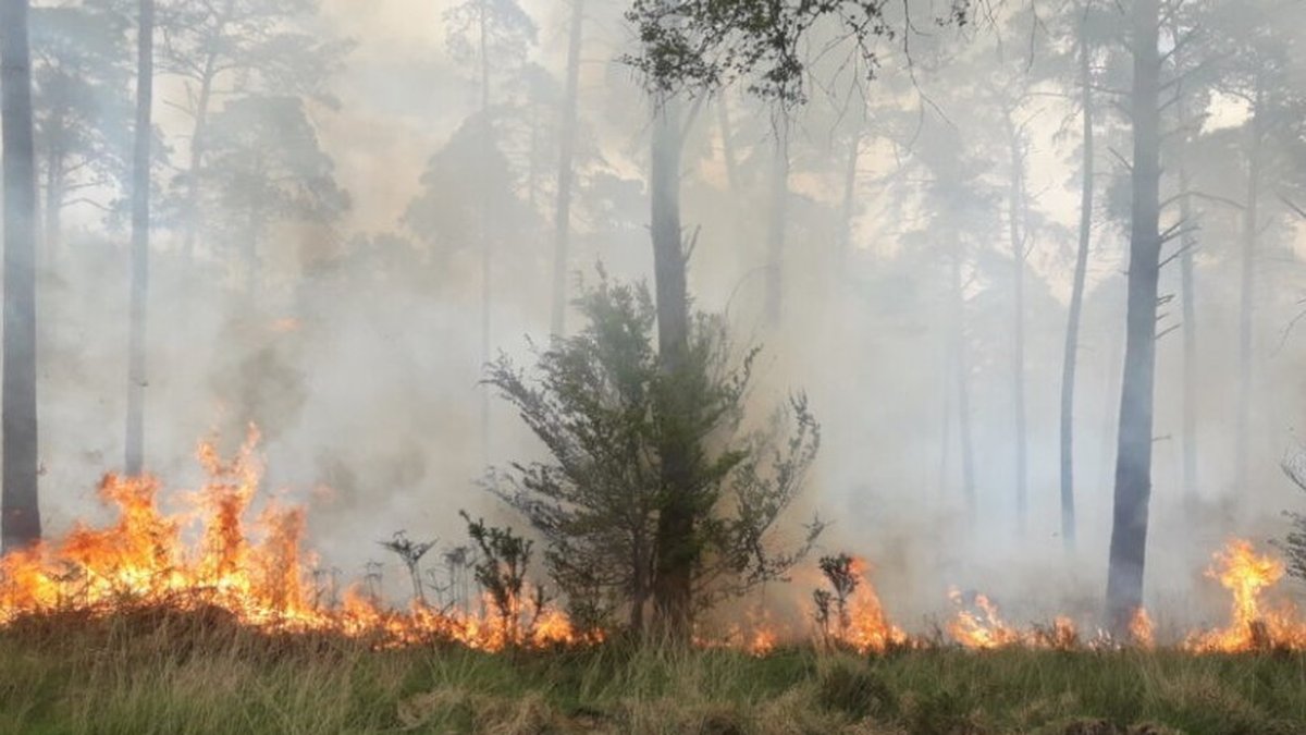 Aveyron : un écobuage intempestif provoque un incendie à Saint-Jean-d ...