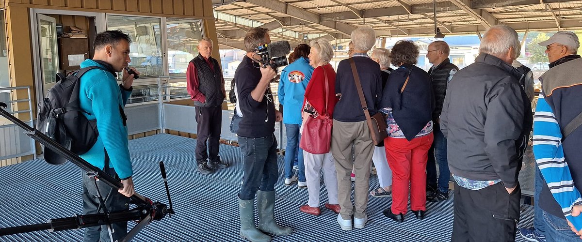 Aveyron : le marché aux bestiaux de Laissac sous le feu des projecteurs