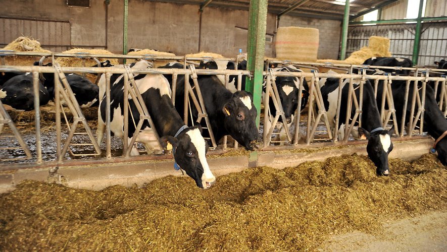La zone réglementée impose quelques mesures sanitaires aux élevages concernés.