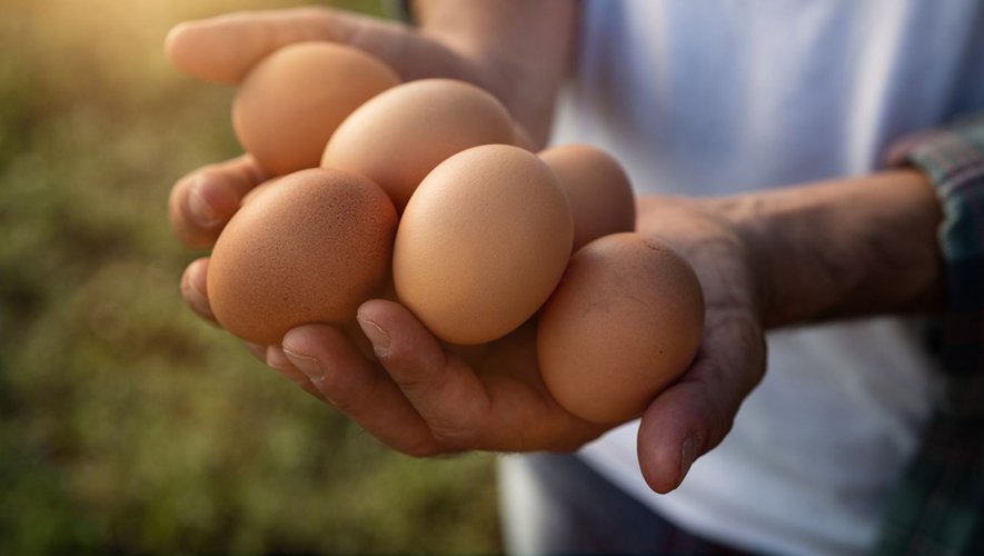 Nutrition : l’œuf est-il un super-aliment ?