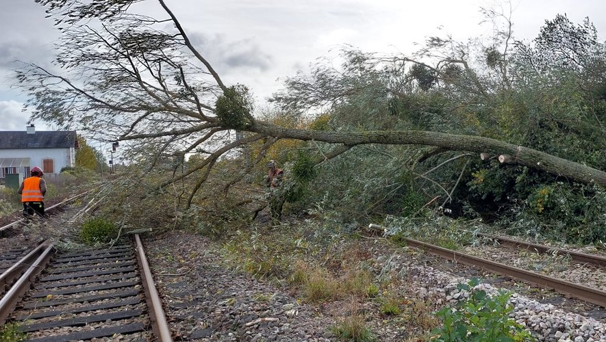 Des centaines d'agents de la SNCF déblayent les voies dans plusieurs régions touchées par la tempête.