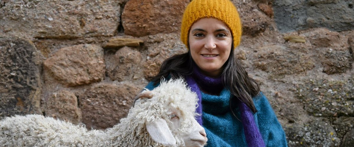 Laura Bousquet à Auzits : de belles biquettes à bouclettes pour une laine de grande qualité