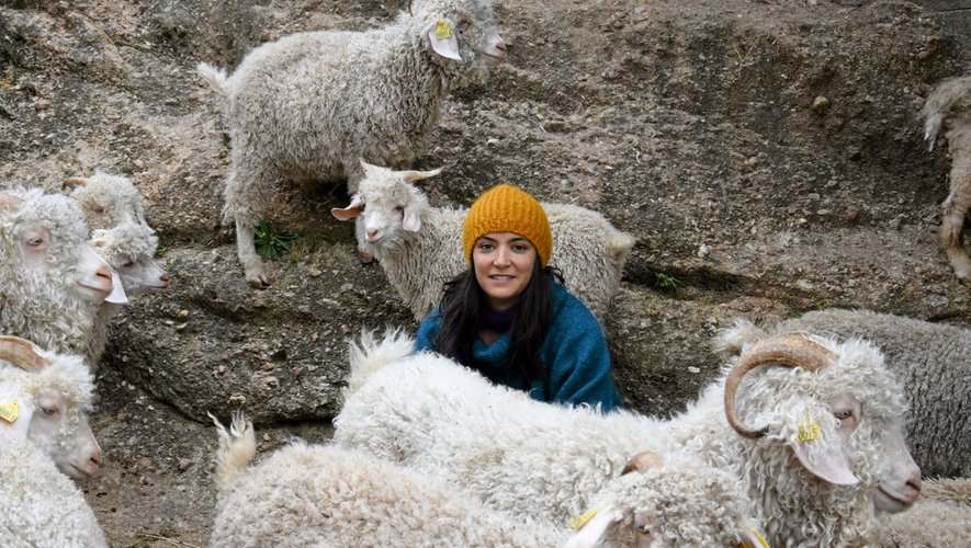 Laura Bousquet élève une soixantaine de chèvres angora.