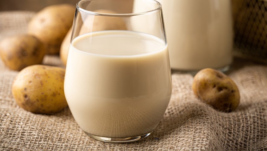 Boire du lait végétal plutôt que du lait de vache pourrait contribuer, entre autres, à améliorer votre empreinte carbone, tout comme votre santé.
