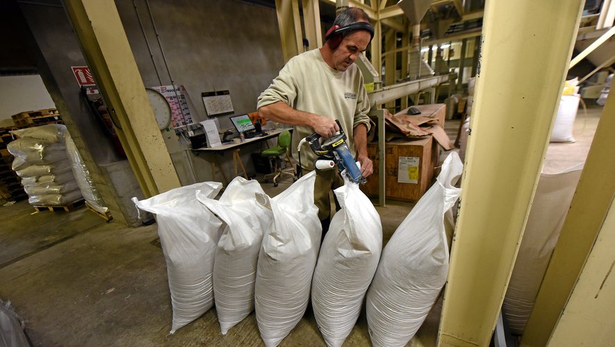 Le moulin Calvet produit quatre fois plus de farine qu’il y a 20 ans.
