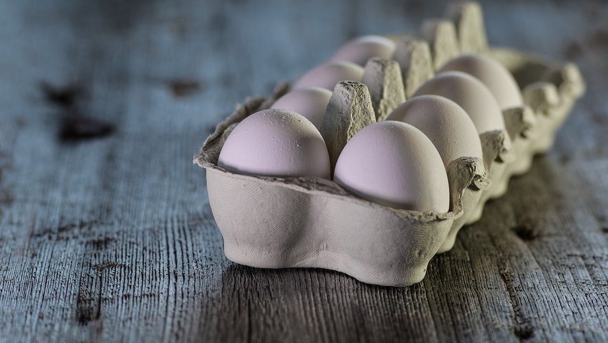 La consommation d'œufs fait l'objet d'une surveillance de l'ARS, en Île-de-France.