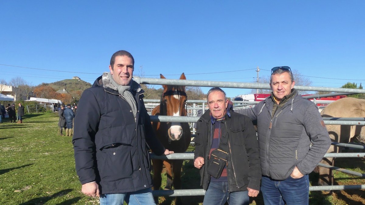 Gabriac. Une très belle foire chevaline - centrepresseaveyron.fr