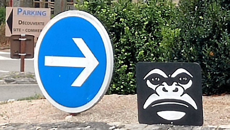 Des têtes de gorille apparaissent à Bozouls, Campuac et Gabriac.