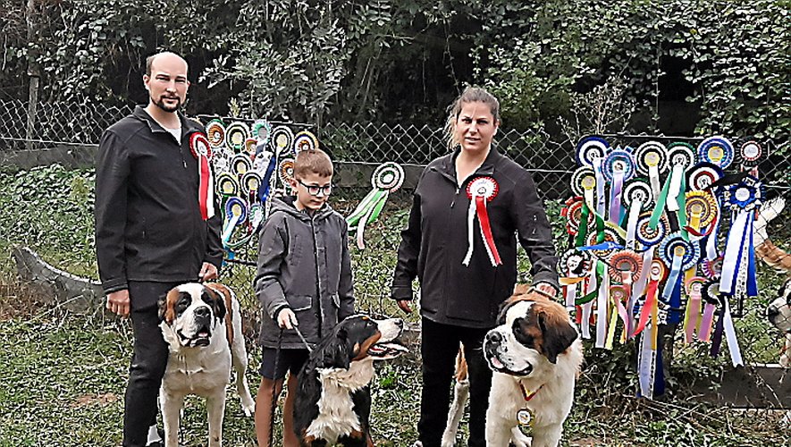 Une partie de la famille Grao et ses trois chiens, deux Saint-Bernard et une bouvier avec différents titres et leurs multiples récompenses.