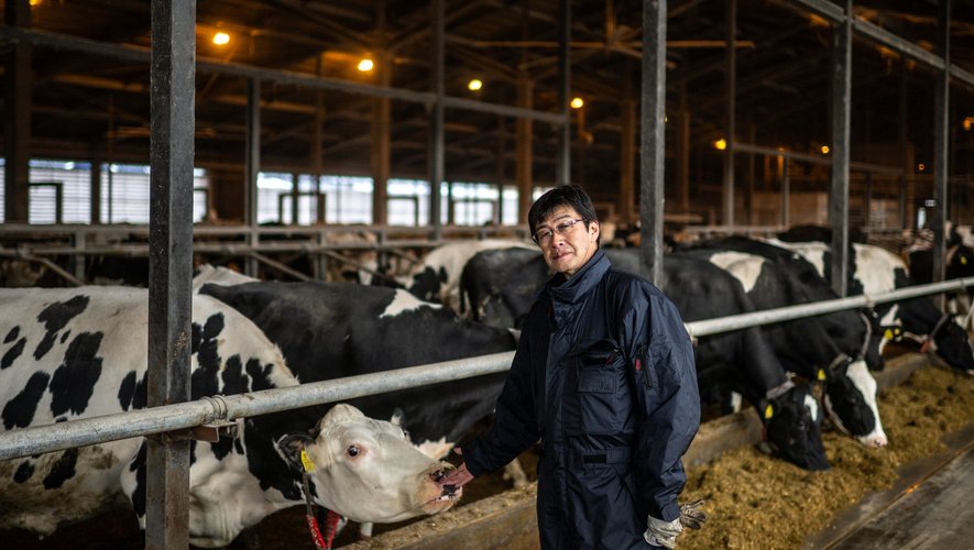 Le biométhane liquide nécessaire à l’expérience a été fabriqué à partir des "contributions" des bovins de deux producteurs laitiers locaux.