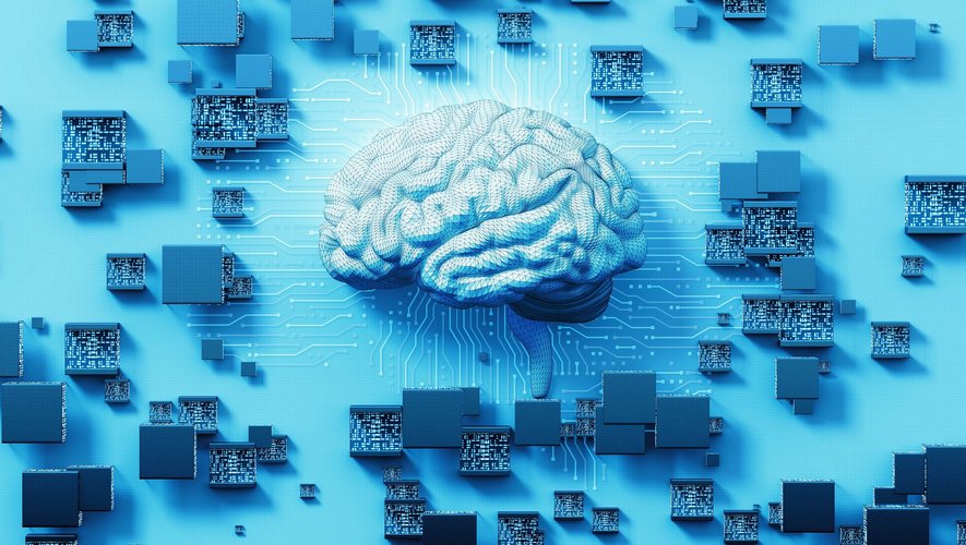 Les capacités du cerveau humain seront-elles un jour surpassées par l'intelligence organoïde ?