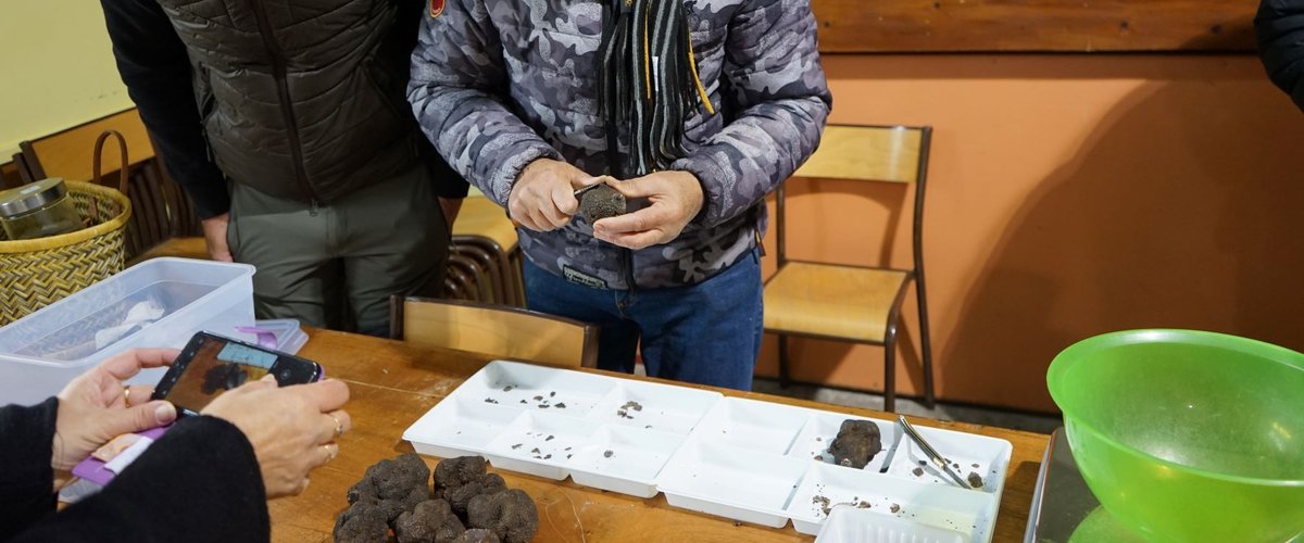 Comprégnac prépare son 23e marché de la truffe, ce dimanche 17 décembre