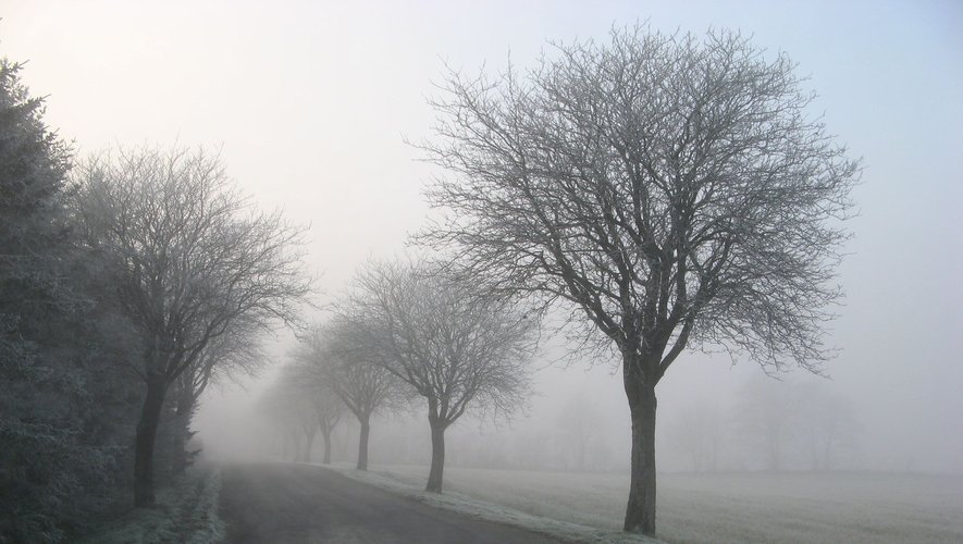 Verglas, brouillard et brume sévissent en Aveyron, ce dimanche 24 décembre 2023.
