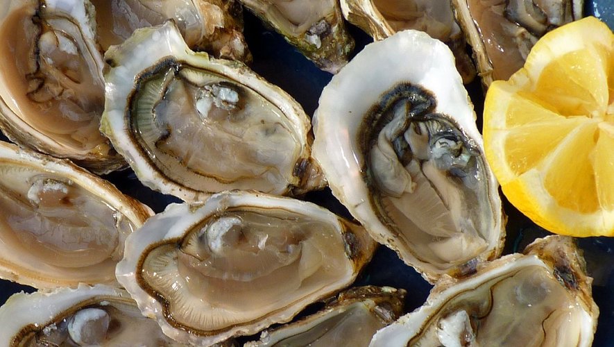 Des huîtres ont fait l'objet d'une analyse approfondie, en Gironde. Leur mise en vente est provisoirement interdite.