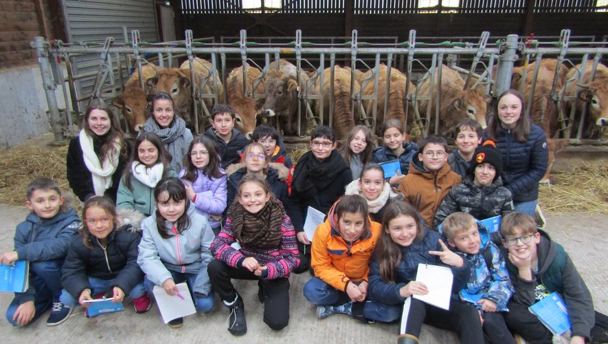 Les écoliers en compagnie des vaches de l’exploitation de La Roque.