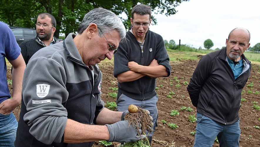 Michel Malet est reconnu dans  le monde de la pomme de terre.