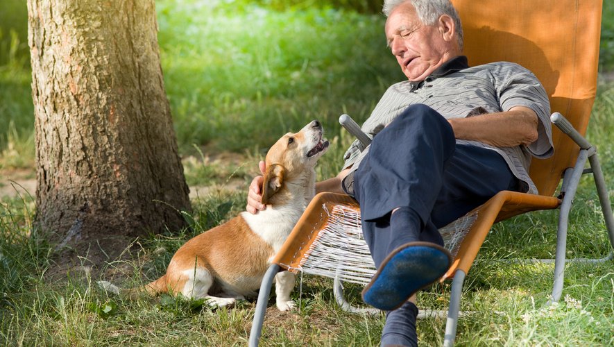 Un animal pour ralentir le déclin cognitif chez les seniors vivant seuls