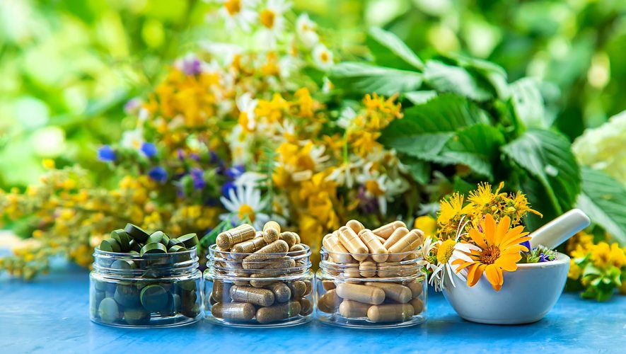 Compléments alimentaires à base de plantes : quelles précautions prendre ?