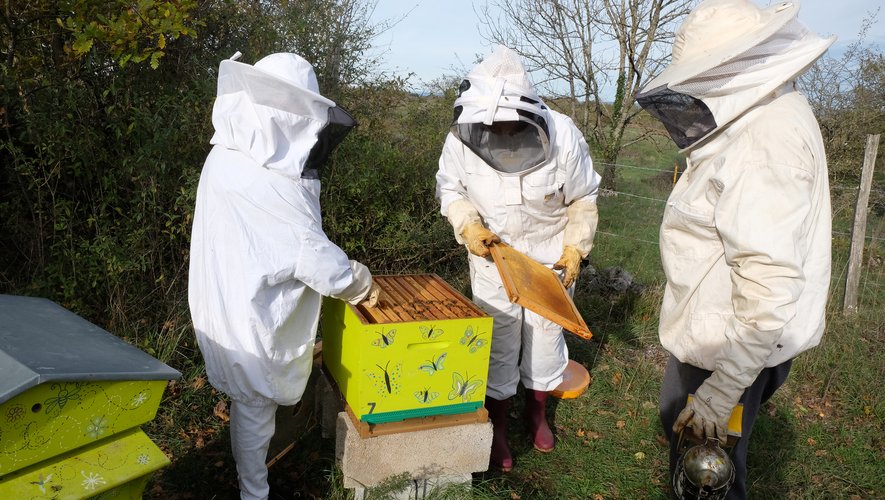 Les apiculteurs peuvent  se former à Olemps et Millau.
