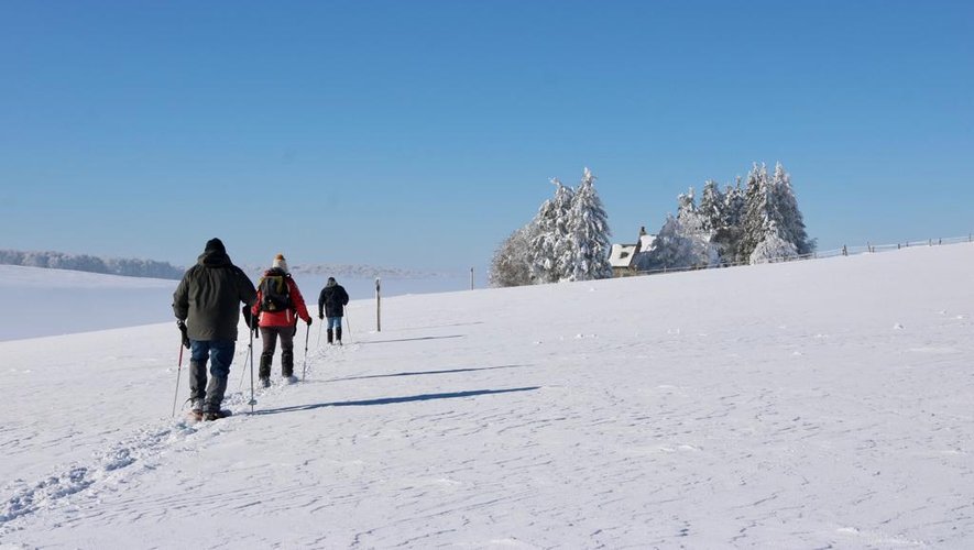 À défaut de neige, la nocturne nordique se fera à pied le 17 février à la station de Laguiole.
