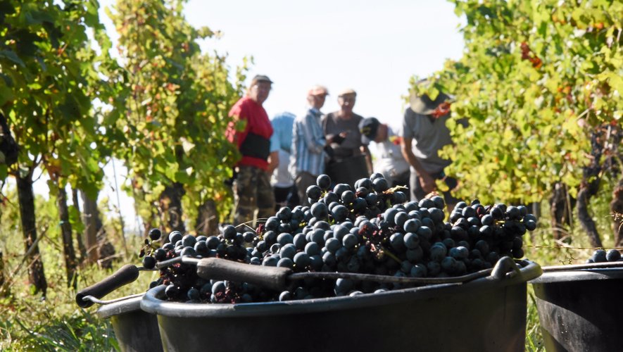Le travail des viticulteurs du Vallon récompensé à Paris.