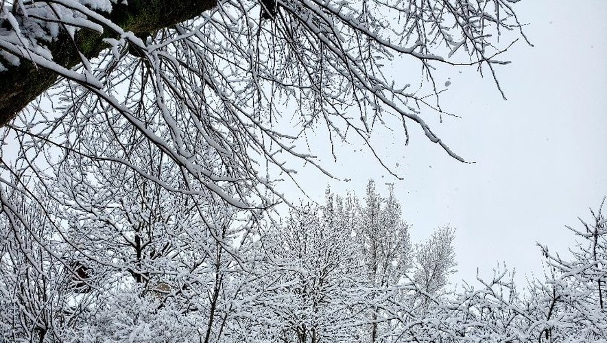 La neige devrait faire son retour en Aveyron dans la nuit de samedi à dimanche.
