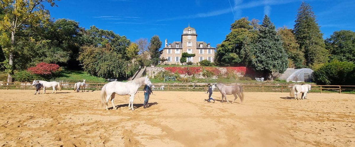 Villefranche-de-Panat. À la découverte des chevaux avec Ségala Lévézou équitation