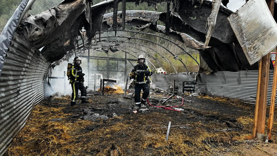 L'incendie a grièvement blessé l'éleveuse et tué 18 chevreaux.
