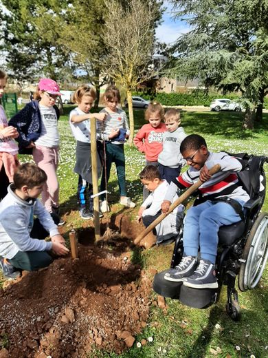 Les élèves plantent des arbres à l’arboretum.