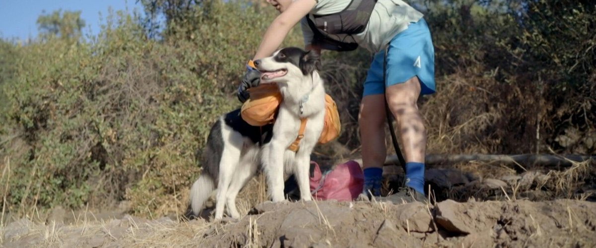 Chili: Un avocat et son chien promeuvent, en courant, la collecte des déchets