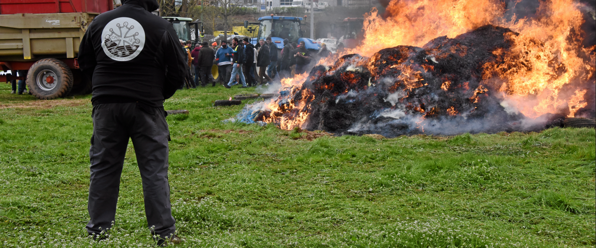 EN IMAGES. Colère des agriculteurs : du déchargement de laine de brebis à un feu géant, retour sur une journée de contestation à Rodez