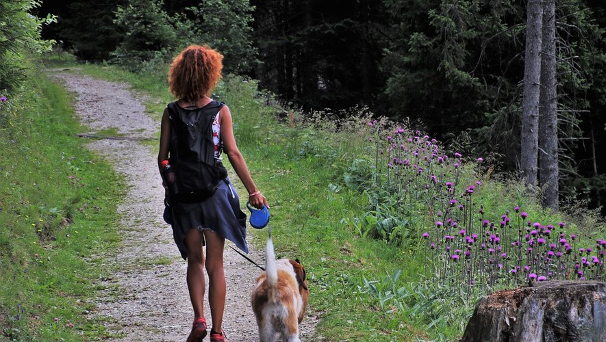 Pouvant perturber la reproduction de la faune sauvage, il est interdit de promener son chien sans laisse du 15 avril au 30 juin, en dehors des allées forestières.
