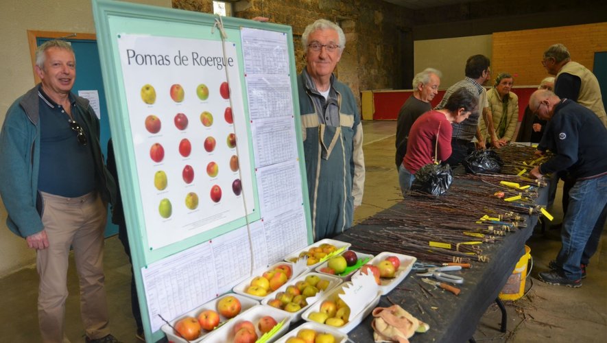 Gérard André présente son tableau de choix de variété de pommes aveyronnaise lors de la journée démonstration de greffe de fin mars.