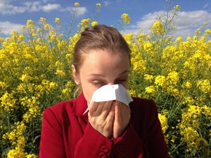CARTE. Allergies aux pollens : l'Aveyron et une très grande majorité du pays basculent en rouge