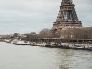 JO de Paris 2024 : pollutions chimique, fécale ou autres, quels sont les risques de nager dans les eaux de la Seine ?