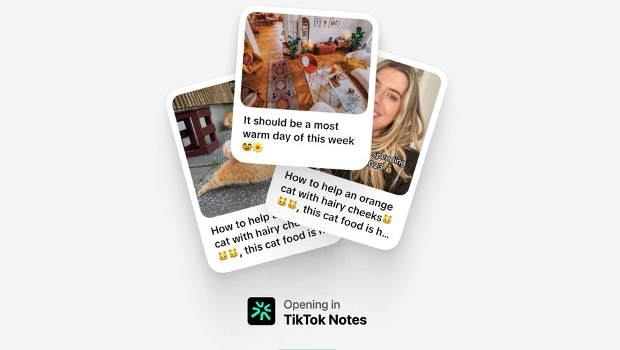 TikTok Notes se concentrera uniquement sur la publication de photos.