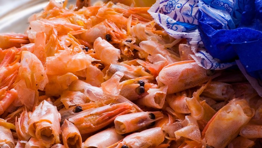 La consommation de crevettes expose davantage au risque d'être contaminé aux PFAS