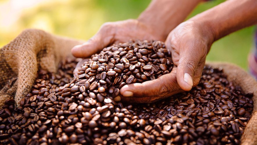 Les ventes de café ont en revanche reculé, en valeur (-3%) et en volume (-6%) "mais on relativise cette contraction car sur la période 2019-2023, on est à +12%", avance le responsable.