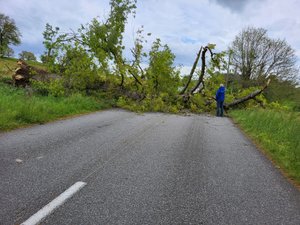 METEO. Vents violentsen Aveyron : un arbre centenaire s'effondre sur la route, les pompiers sollicités par de nombreux appels
