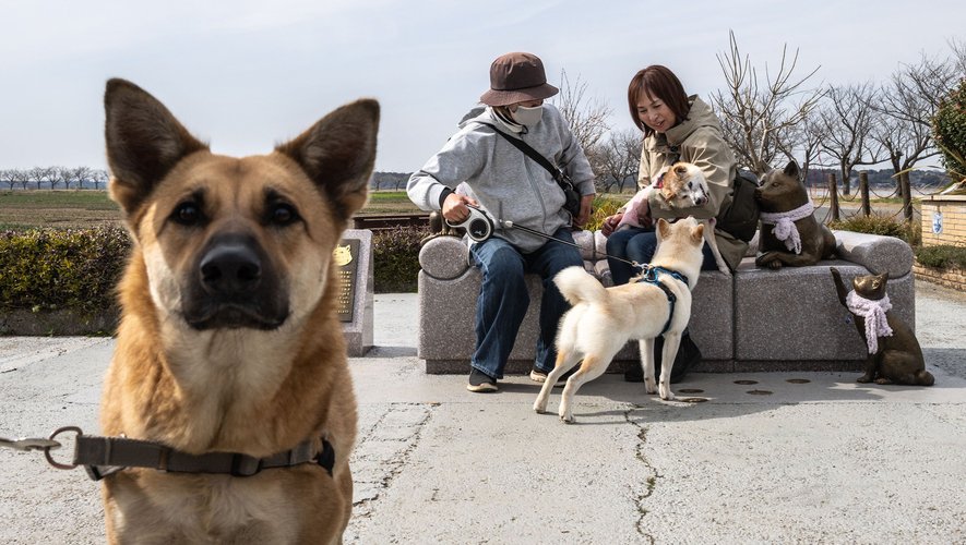 Atsuko Sato (à droite) visite un parc avec le chien Kabosu (à gauche), connu pour être le logo de la cryptomonnaie Dogecoin.