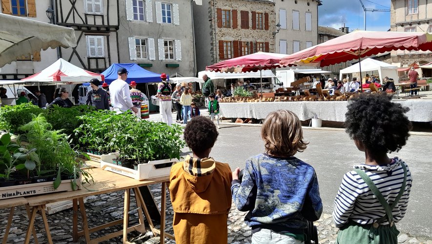 Venez découvrir les produits locaux tout en fêtant joyeusement le printemps dimanche 12 mai à Sauveterre de Rouergue.